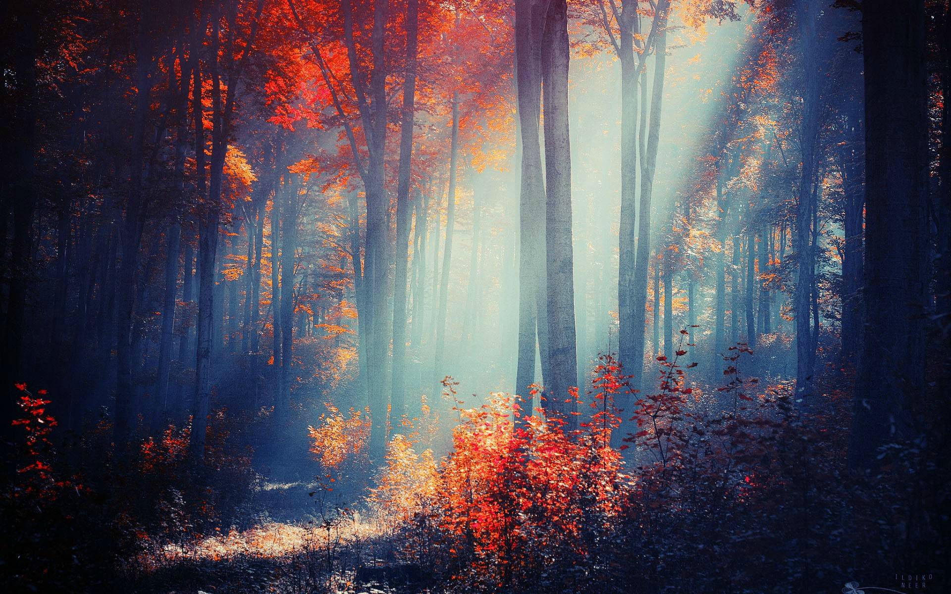 1920 x 1080 HD Wallpapers 1361